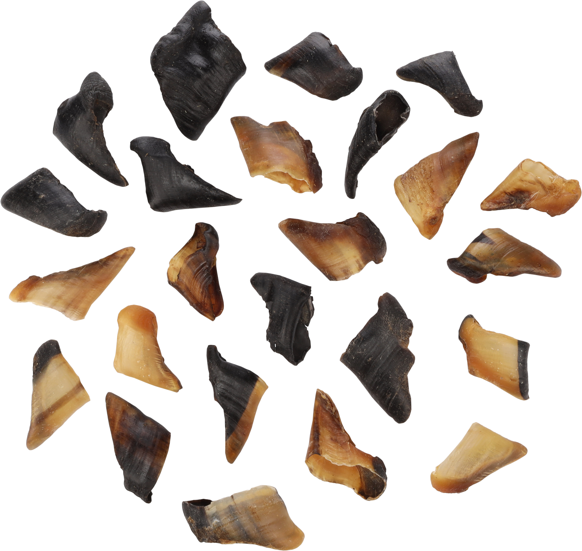 Flamingo Snacks Nature Sheep hoof