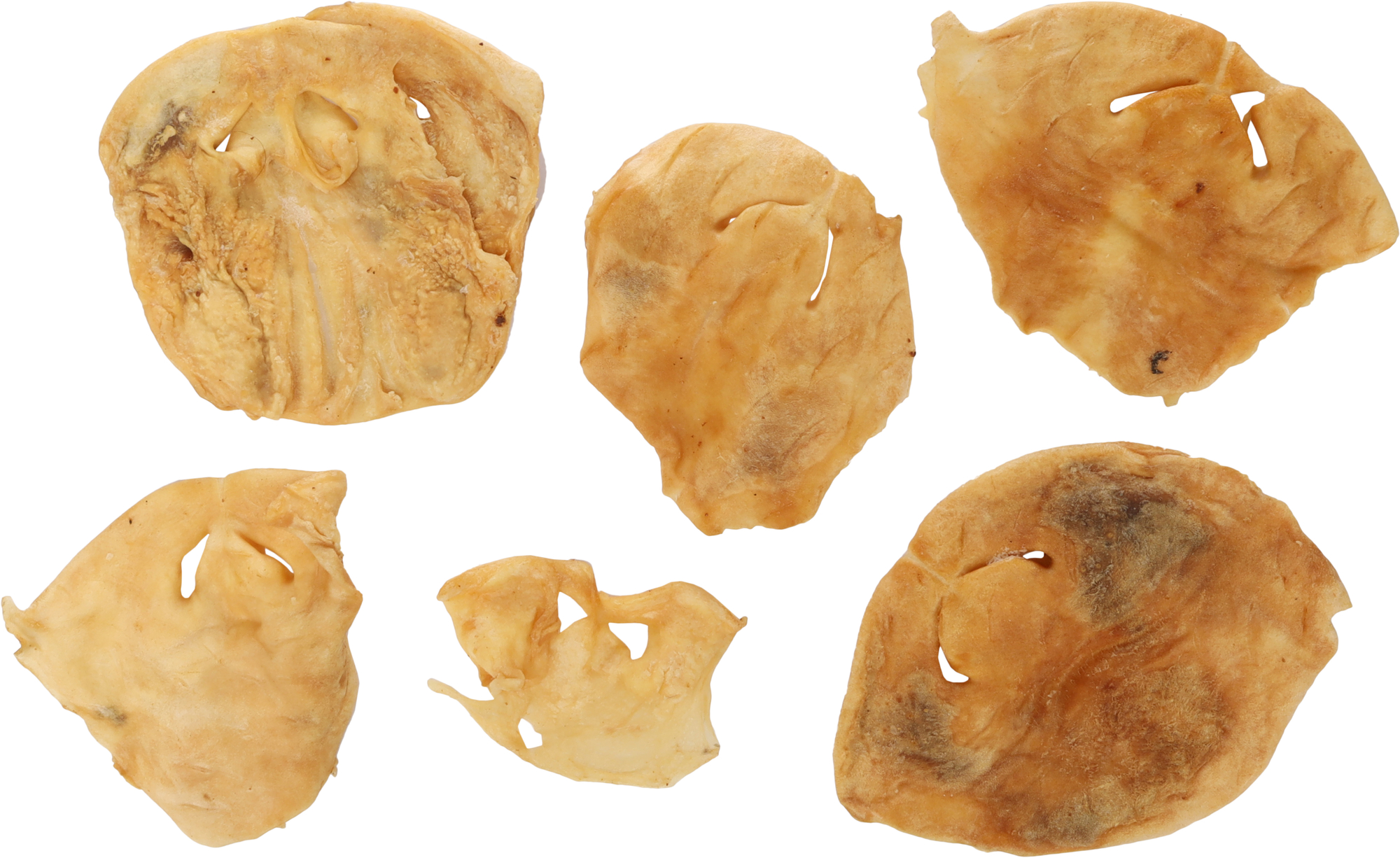 Flamingo Snacks Nature Sheep nose