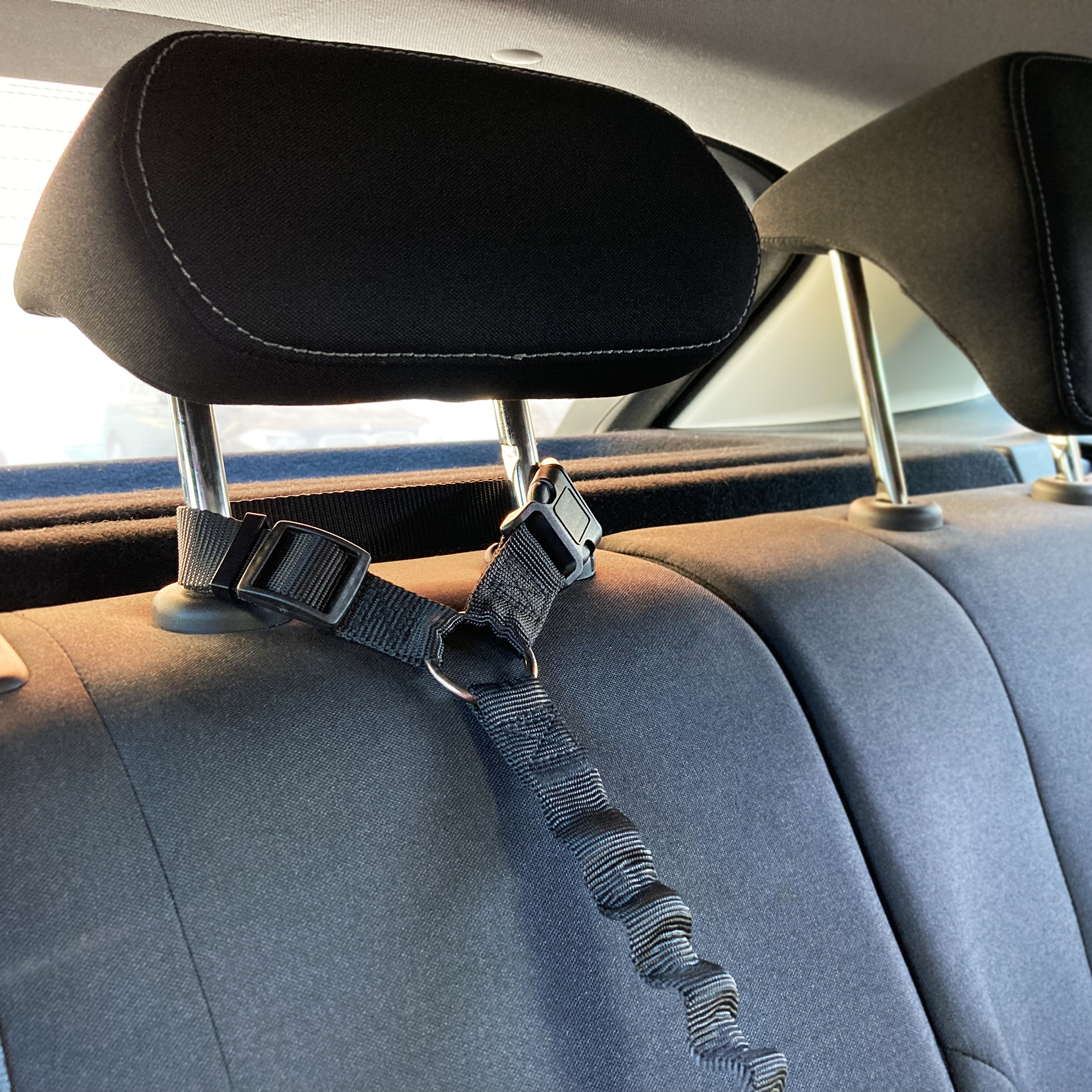 Flamingo Car leash Ramone Black