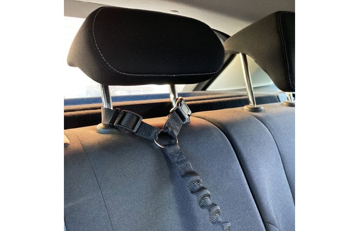 Flamingo Car leash Ramone Black