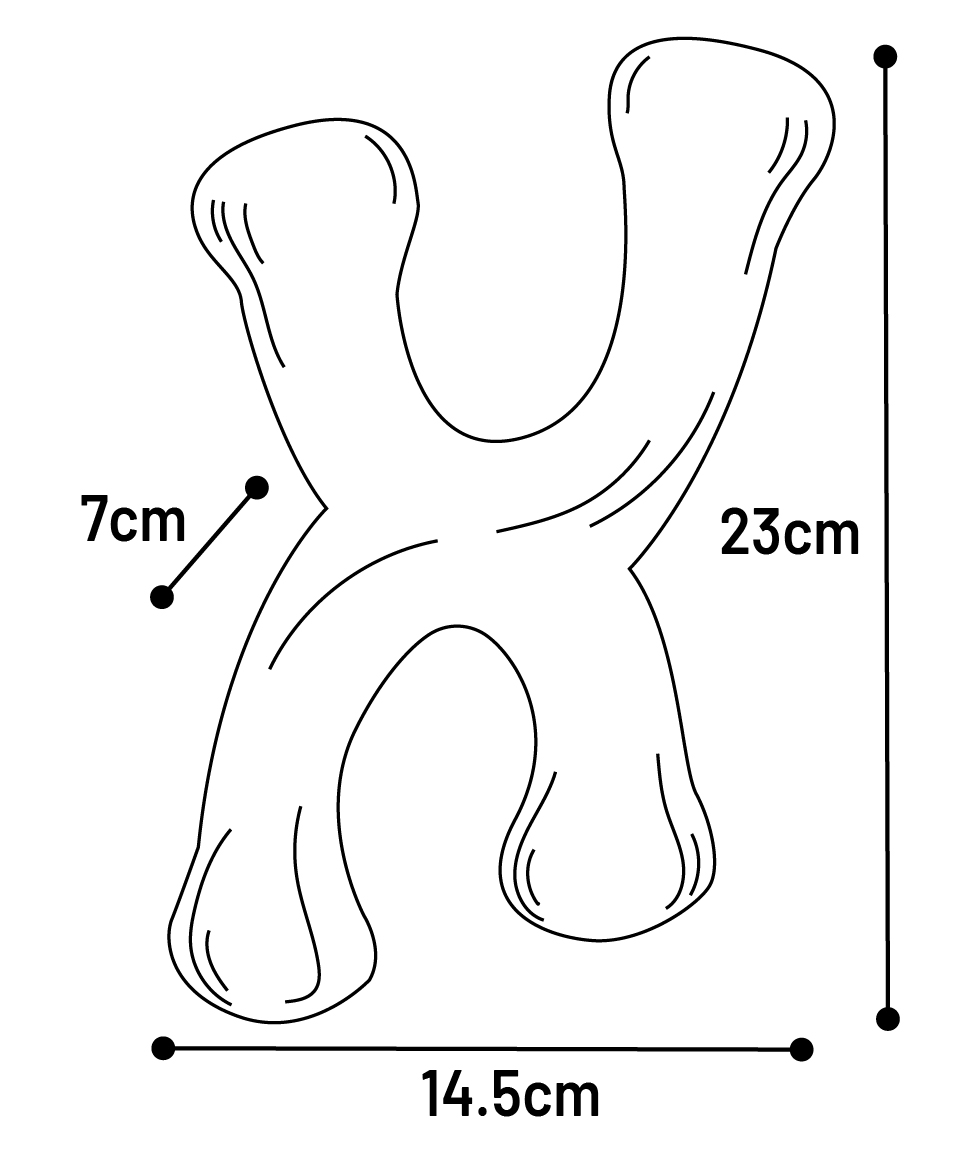 Jouet Nyl'o Wood Forme en X avec goût de bœuf | 524965 | Flamingo Pet ...