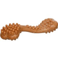 Flamingo Giocattolo Nyl'o Bamboo Osso con gusto di manzo