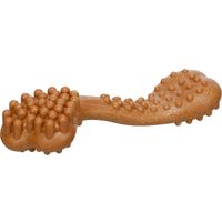 Flamingo Giocattolo Nyl'o Bamboo Osso con gusto di manzo