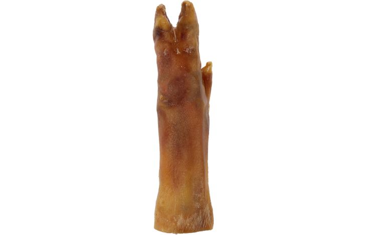 Flamingo Snacks Nature Pork front leg with meat