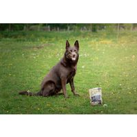 Flamingo Snacks Hapki Pure Chunks with deer & rice 