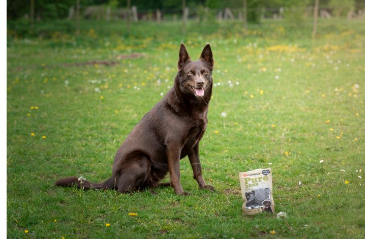 Flamingo Snacks Hapki Pure Chunks with deer & rice 