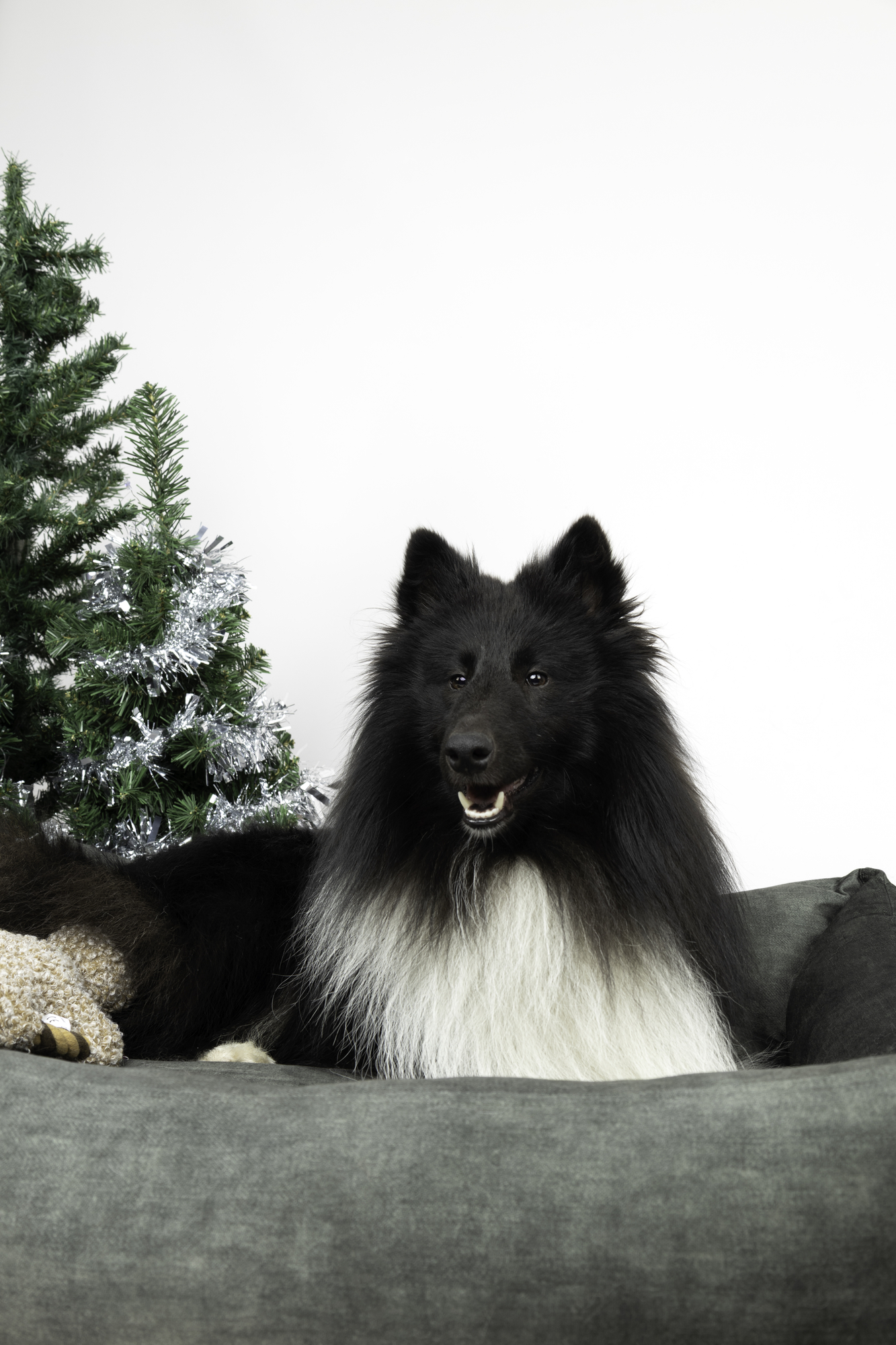 Flamingo Basket Zoran Rectangle Green