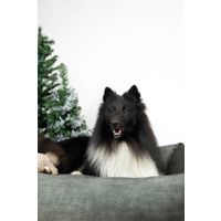 Flamingo Basket Zoran Rectangle Green