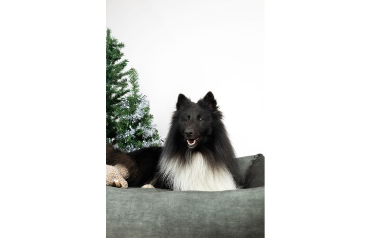 Flamingo Basket Zoran Rectangle Green