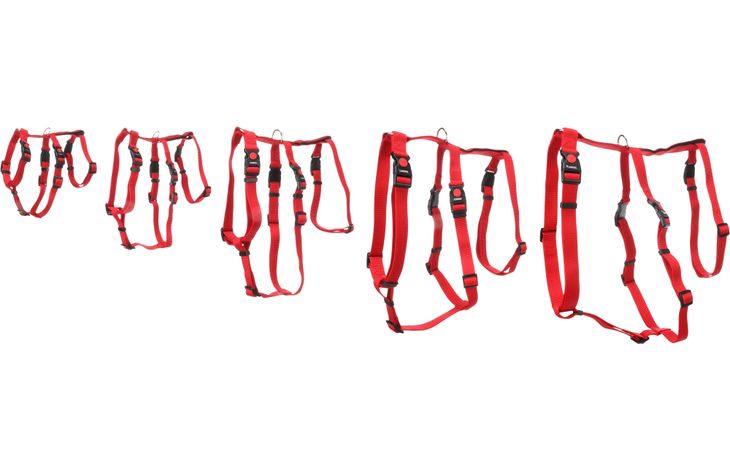 Flamingo Veiligheidsharnas Zera Rood