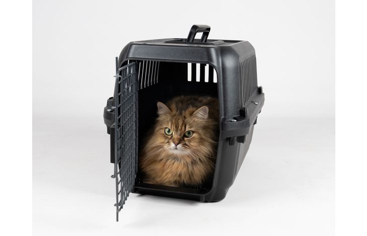 Flamingo Cage de transport Naomi Noir