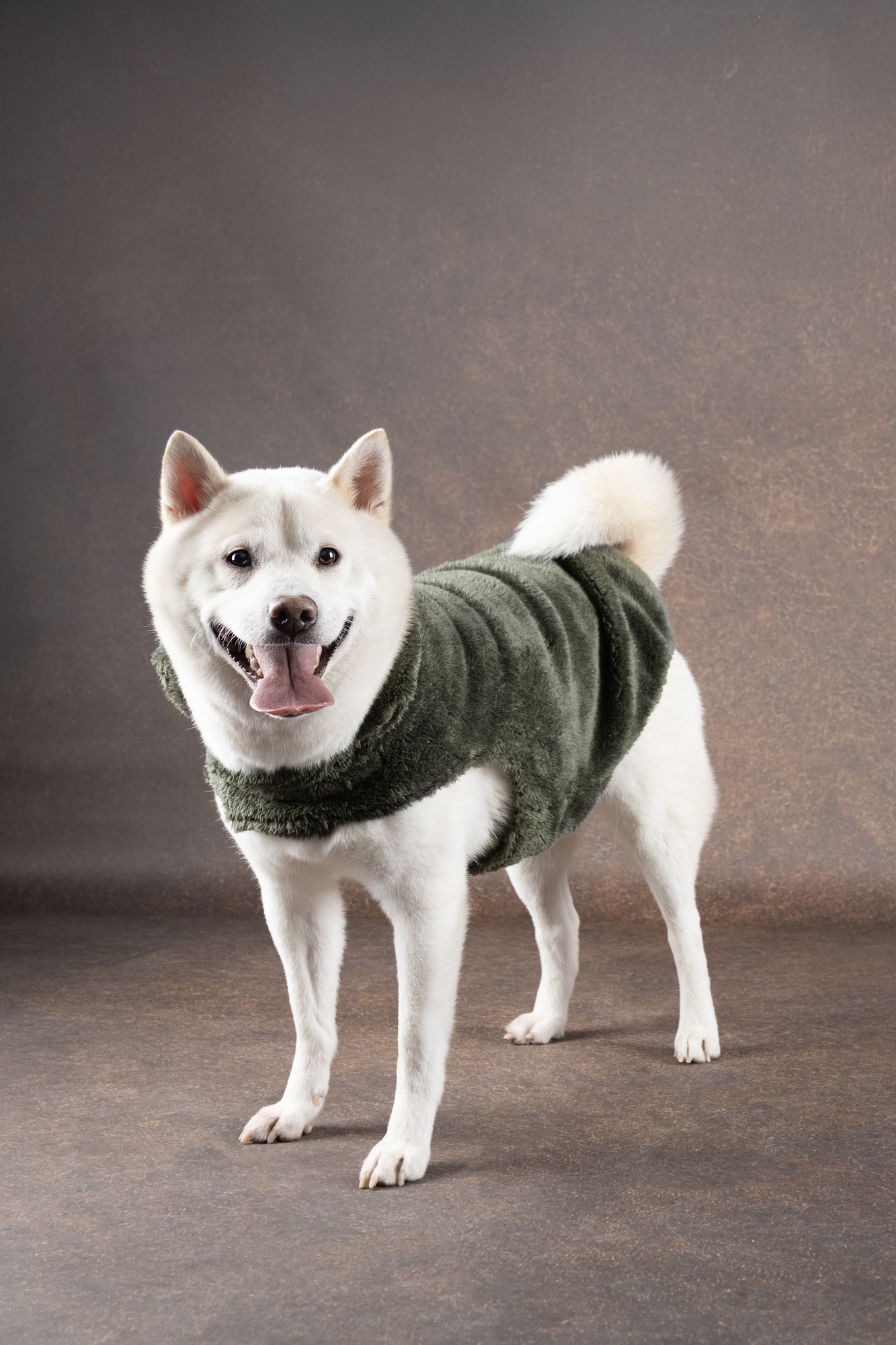 Flamingo Sweater Fergi Green