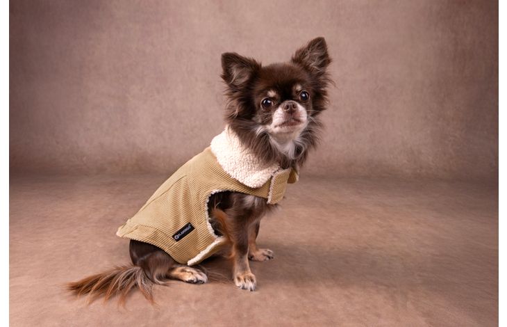 Flamingo Coat Endor Beige