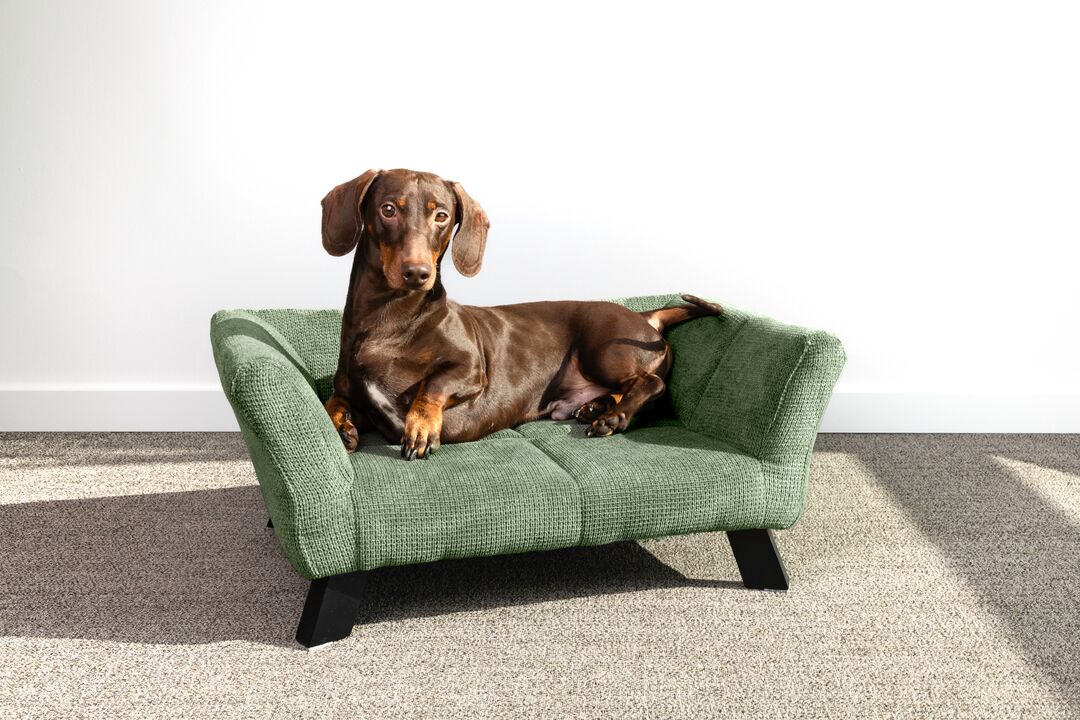 Flamingo Sofa Damario Rectangle Green