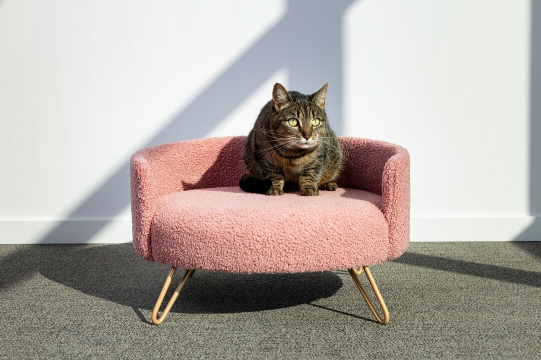 Flamingo Sofa Dizco Round Pink