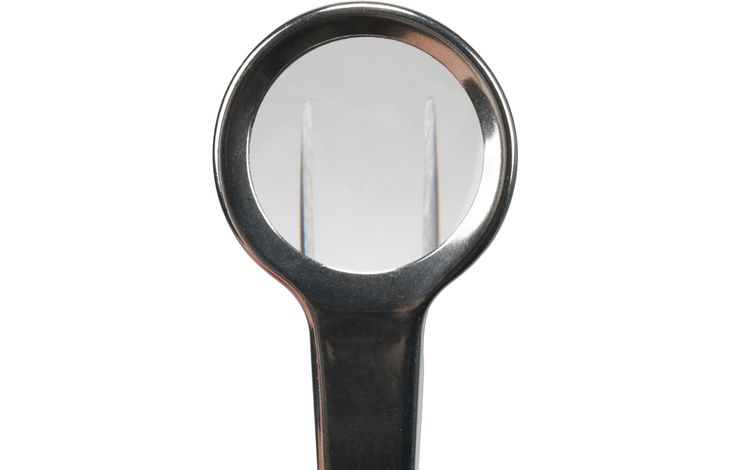 Flamingo Tweezers Lookie with magnifier