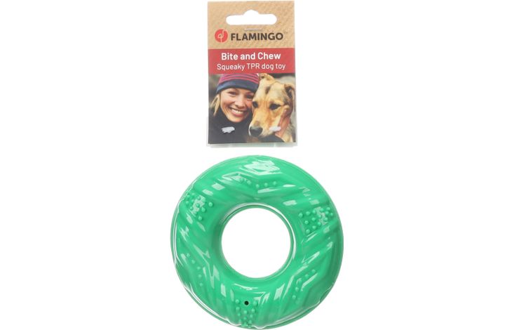 Flamingo Speelgoed Tegro Ring Groen