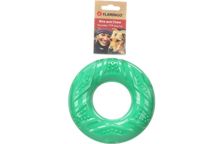 Flamingo Speelgoed Tegro Ring Groen