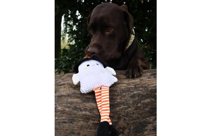 Flamingo Halloween Toy Binni Several versions 