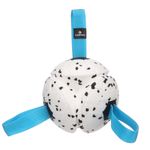 Spielzeug Kona Ball Blau