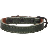 Flamingo Halsband Montana Groen