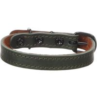 Flamingo Halsband Montana Groen
