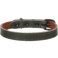 Flamingo Halsband Montana Groen
