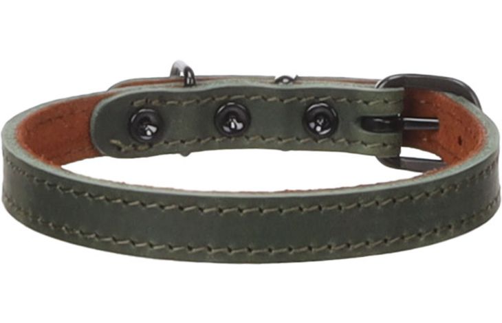 Flamingo Halsband Montana Groen