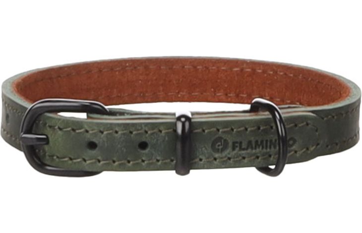 Flamingo Halsband Montana Groen