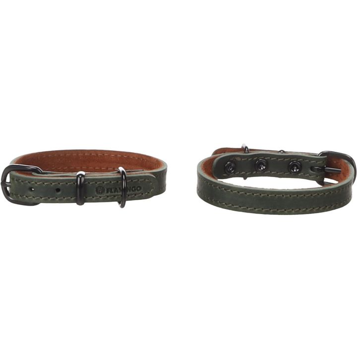 Halsband Montana Groen | 525800 | Flamingo Pet Products