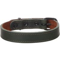 Flamingo Halsband Montana Groen