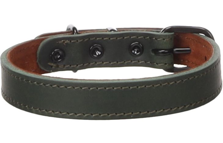 Flamingo Halsband Montana Groen