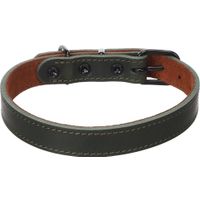 Flamingo Halsband Montana Groen