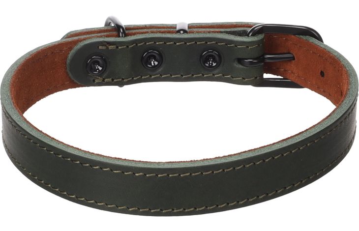 Flamingo Halsband Montana Groen
