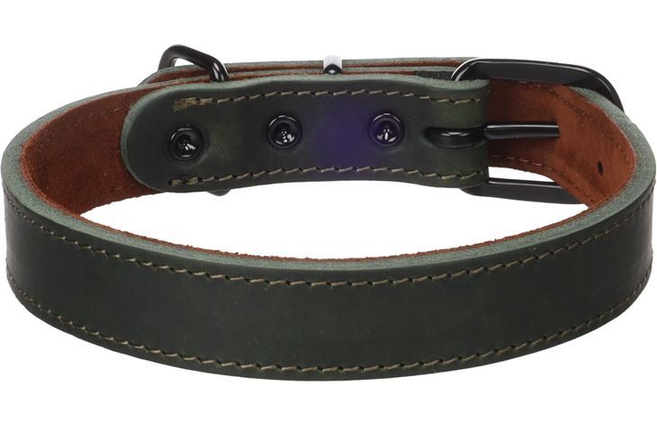 Flamingo Halsband Montana Groen