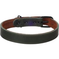 Flamingo Halsband Montana Groen