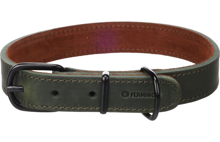 Flamingo Halsband Montana Groen