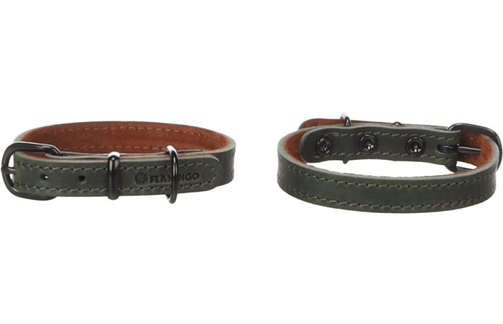 Flamingo Halsband Montana Groen