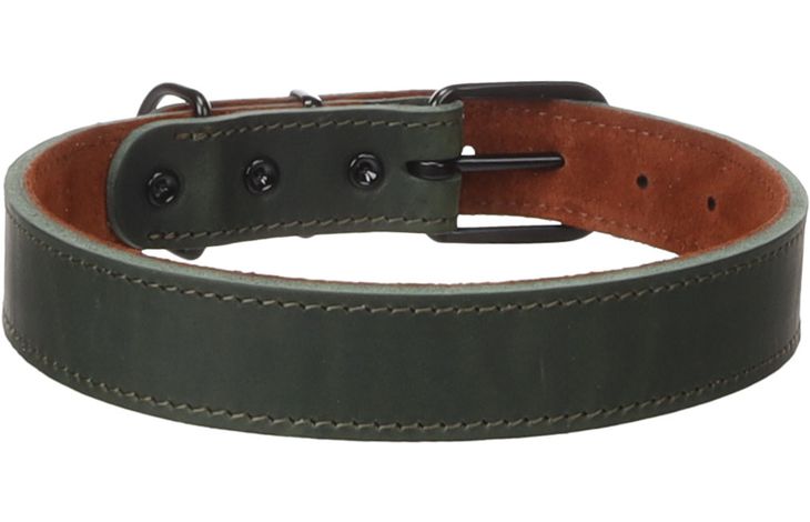 Flamingo Halsband Montana Groen
