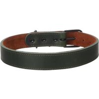 Flamingo Halsband Montana Groen