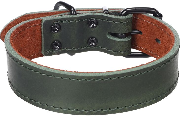 Flamingo Halsband Montana Groen
