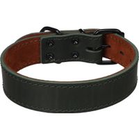 Flamingo Halsband Montana Groen