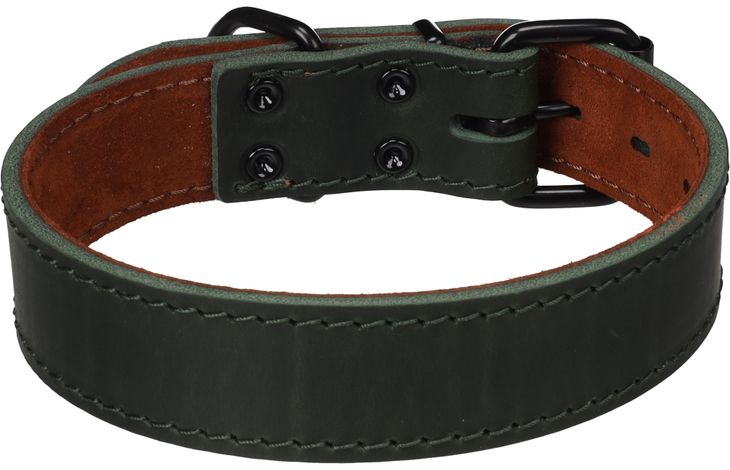 Flamingo Halsband Montana Groen