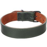Flamingo Halsband Montana Groen