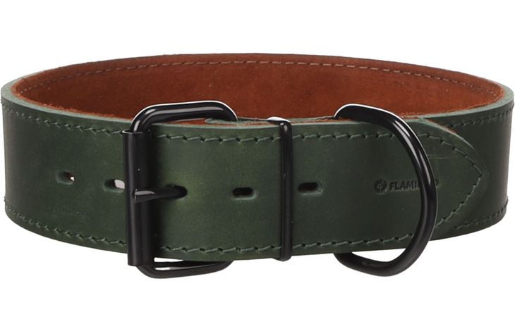 Flamingo Halsband Montana Groen