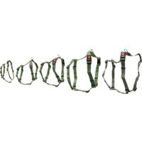 Flamingo Harness H-shape Ziggi Khaki