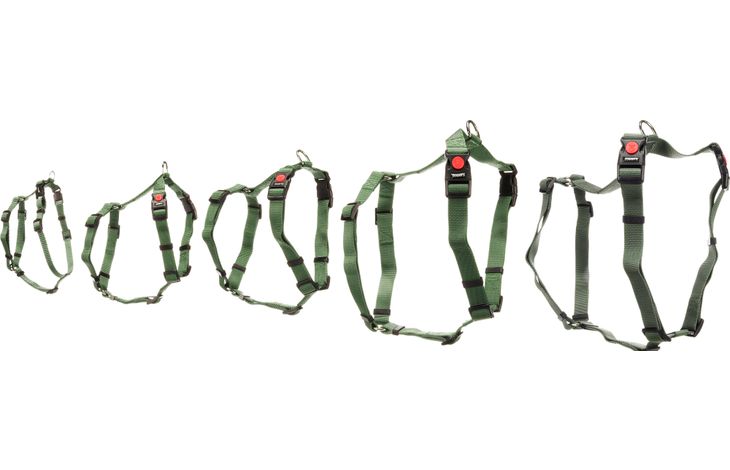 Flamingo Harness H-shape Ziggi Khaki