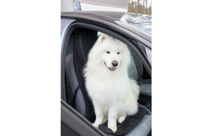 Flamingo Car seat cover Elite Cover-style design Single seat (in the car) Black