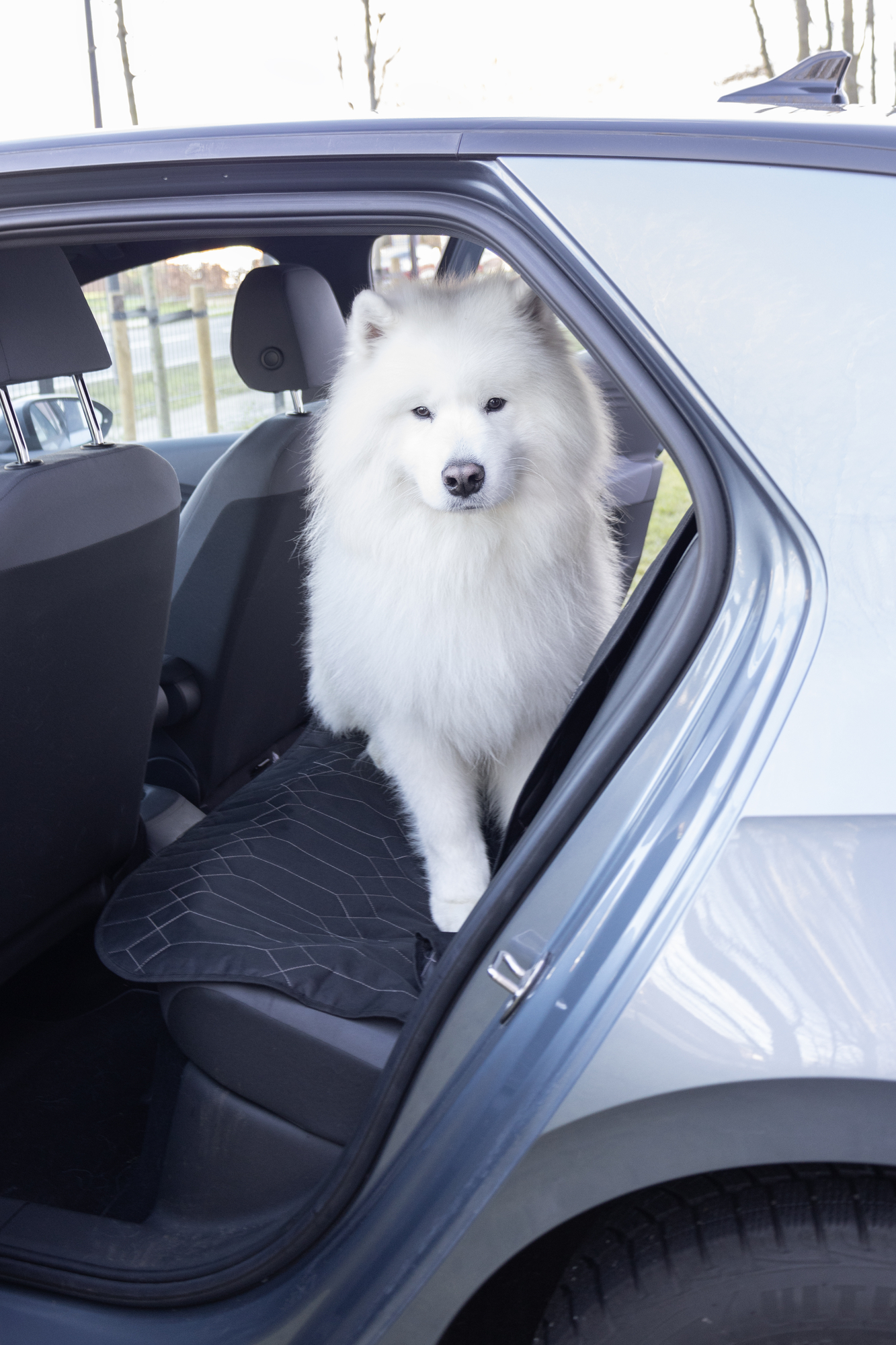 Flamingo Car seat cover Elite Back seat (of the car) Black