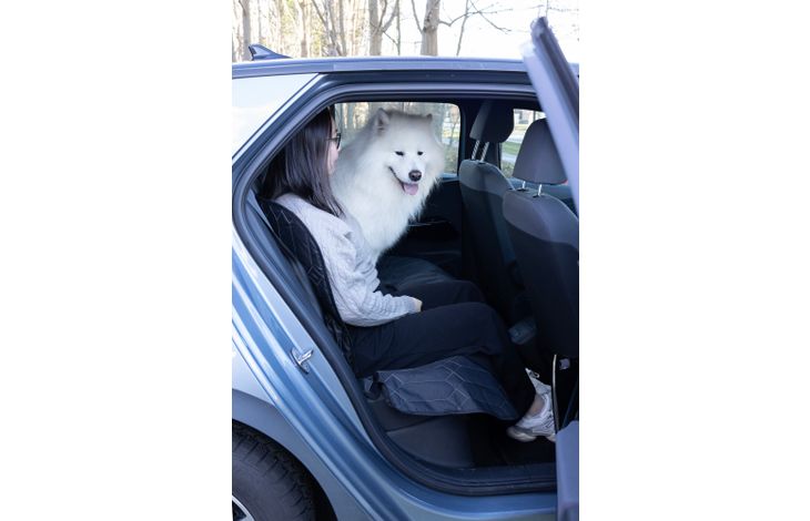 Flamingo Car seat cover Elite Back seat (of the car) Black